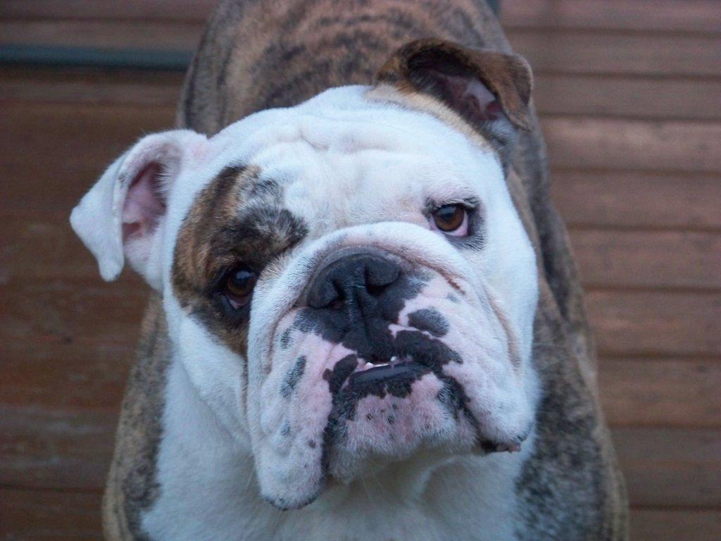 Rest in Peace “Mo”