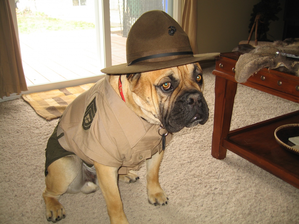 Gunny Monster Update