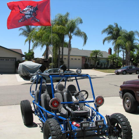 Dressed Up Our Buggy