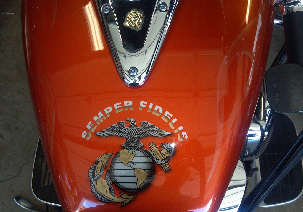 Hand Painted EGA