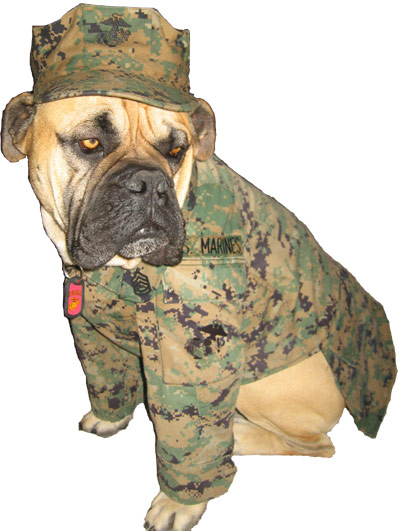 Gunny Monster in various Marine Corps gear from Sgt Grit