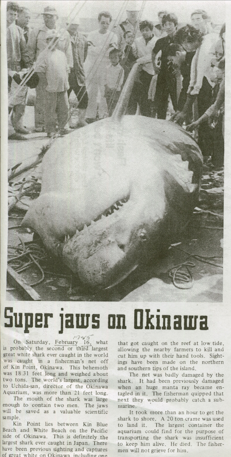 JAWS in Okinawa