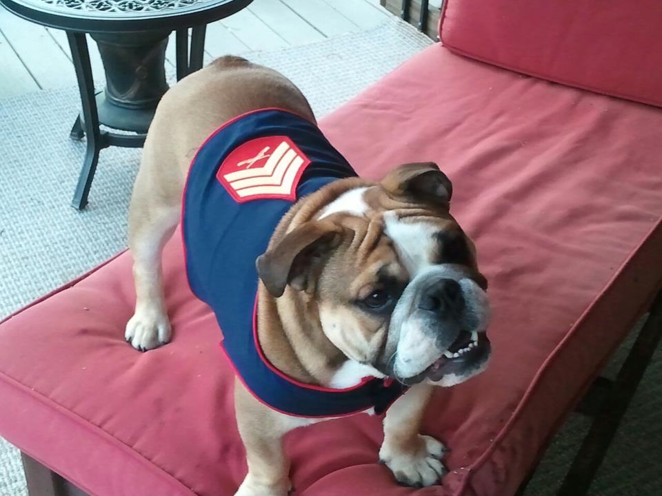 Sgt Grunt