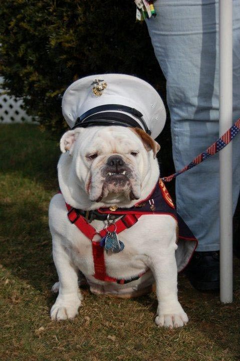 Gunny Bruce Wreaths Across America