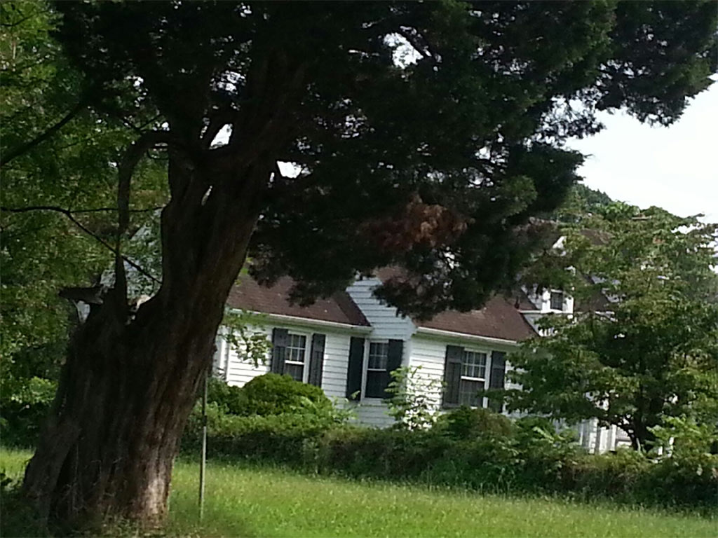 Chesty’s House