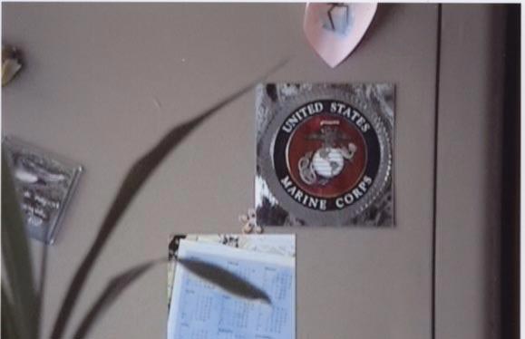 Emblem in Foreign Places
