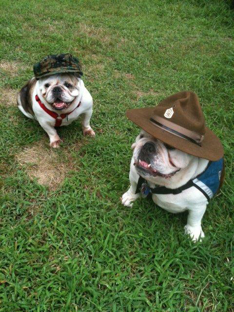 Gunny Moose and PFC Bambi