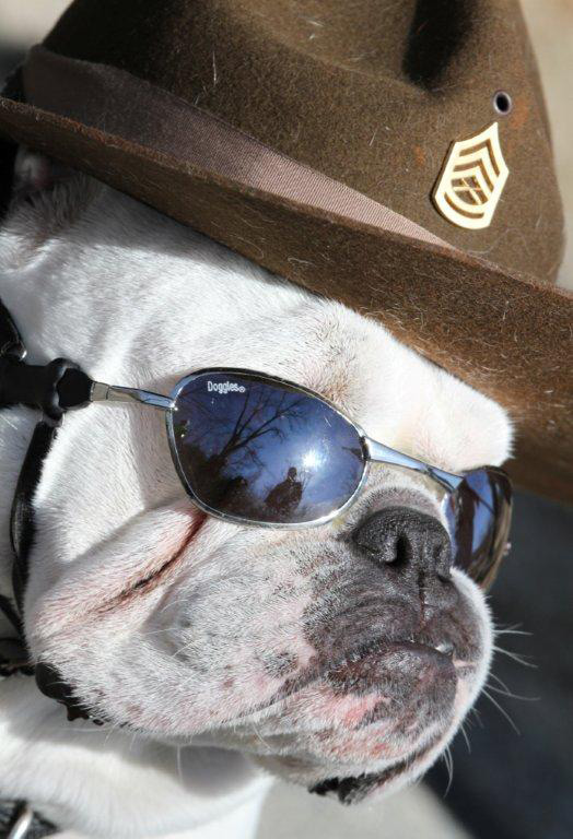 Gunny in DI Hat and Sunglasses