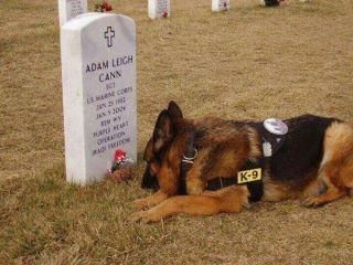 True meaning of Semper Fidelis