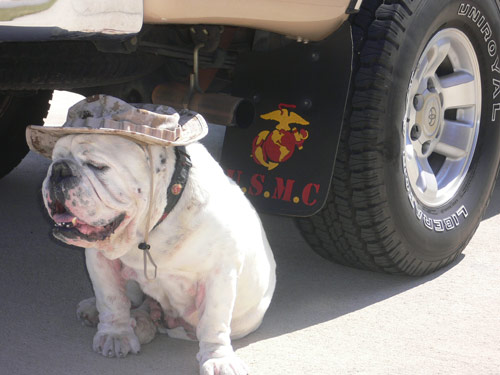 “SGTMAJ”