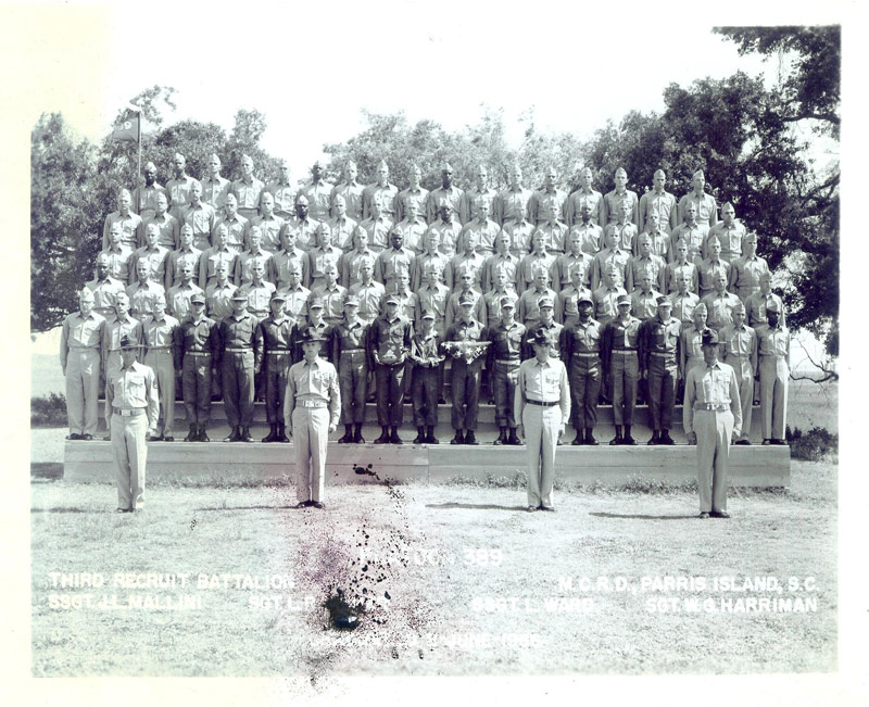 PLT-389