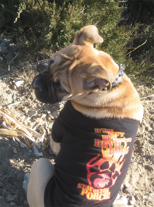 Gunny Monster