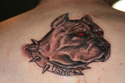 Devil Dog Tattoo