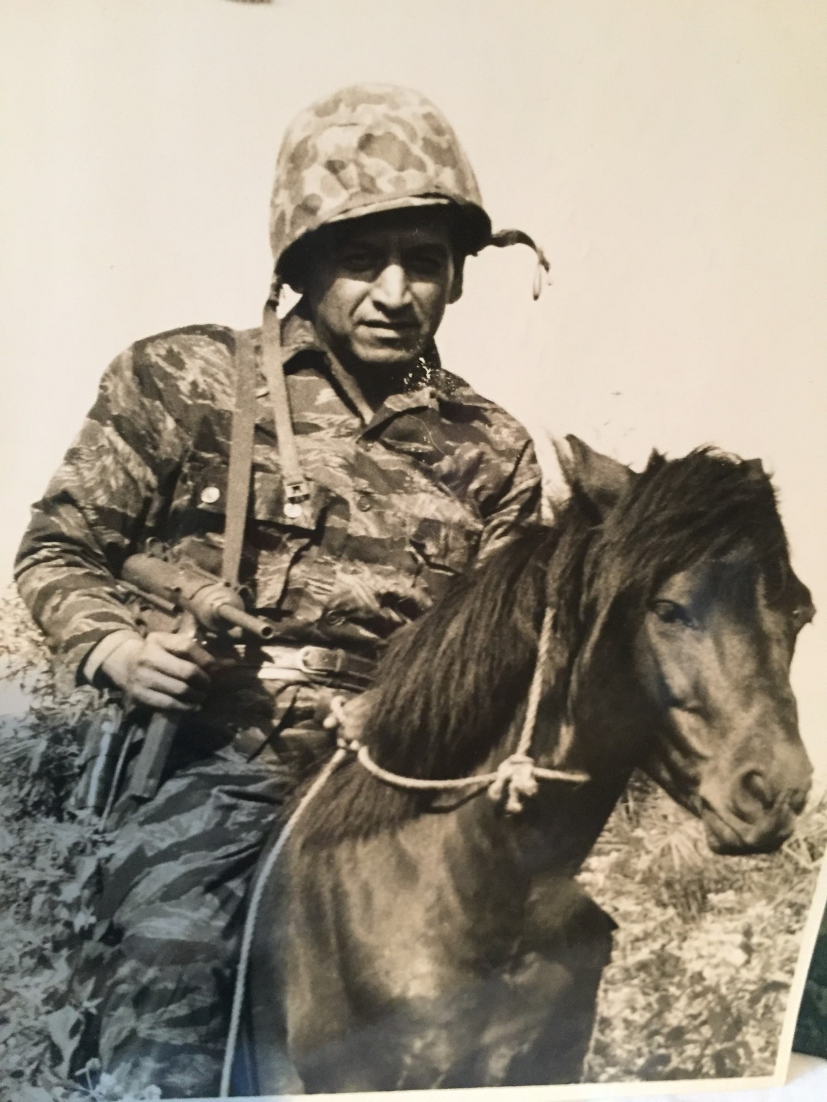 War Pets